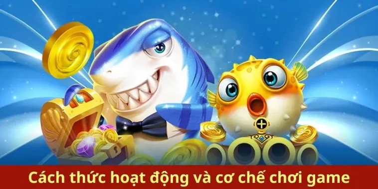 Cách Chơi Bắn Cá Royal Fishing Tại SBOBET: Hướng Dẫn Chi Tiết Cho Tân Thủ 2 Cách Chơi Bắn Cá Royal Fishing Tại SBOBET: Hướng Dẫn Chi Tiết Cho Tân Thủ