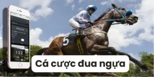 Tìm Hiểu Cá Cược Đua Ngựa SBOBET: Đánh Giá Từ A Đến Z